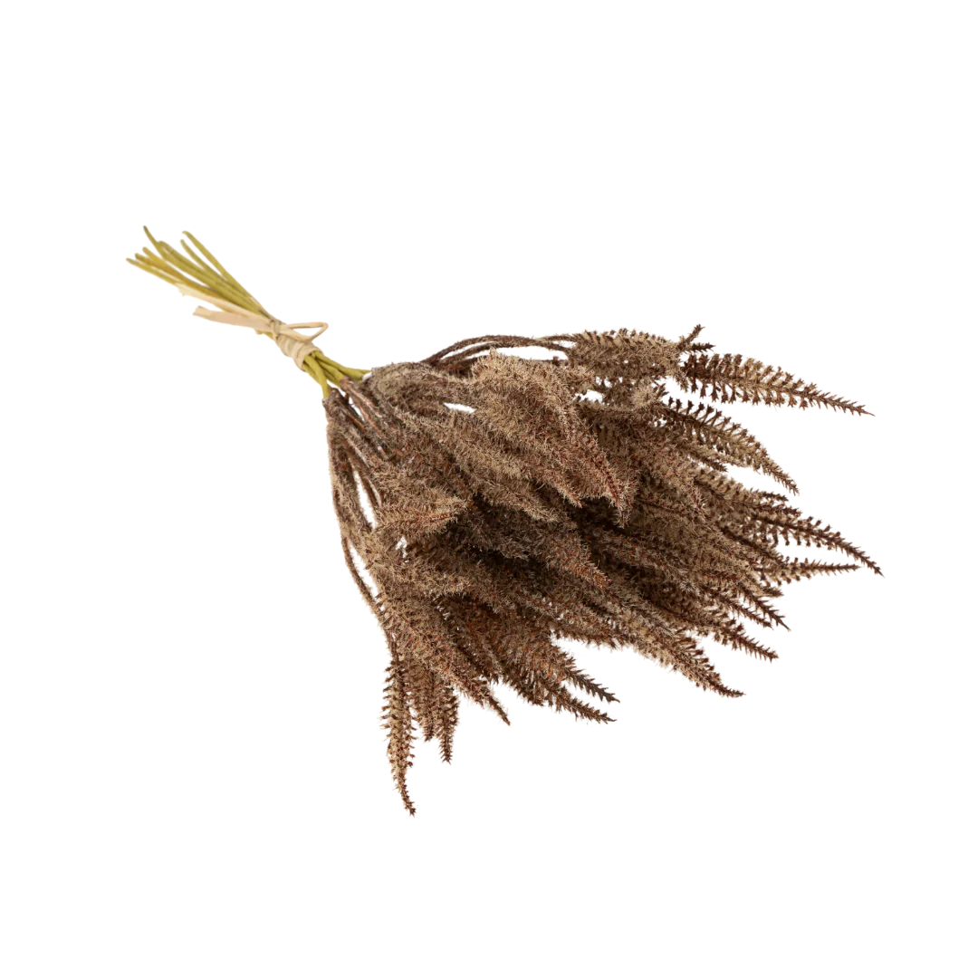 Mini bouquet d'herbe Pampas - marron