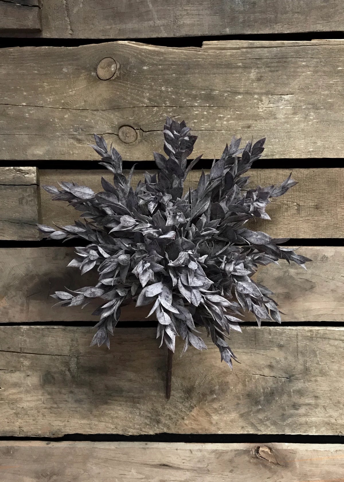 Bouquet de petit houx - bourgogne