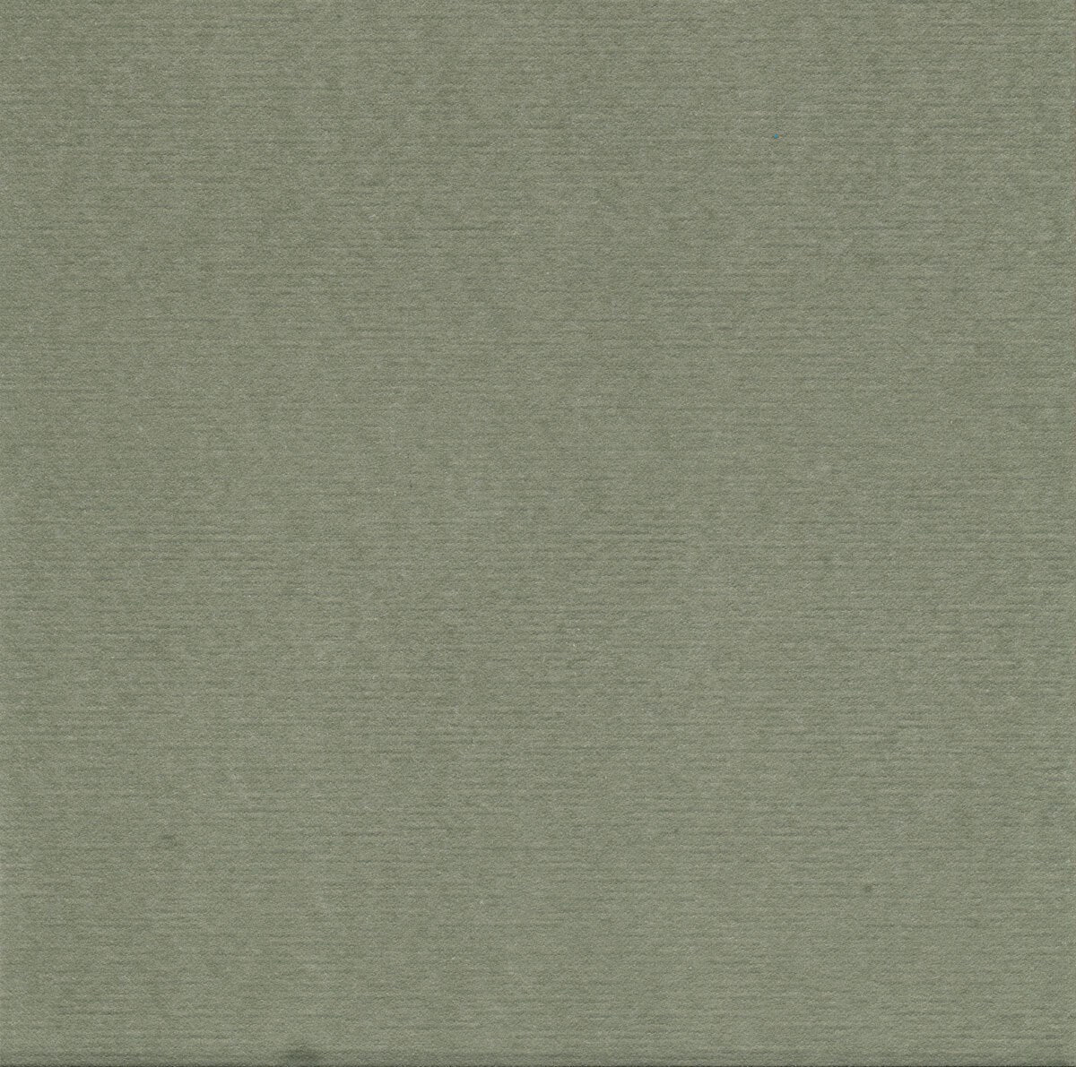 Serviette de table Paviot - Thé Vert