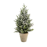 Sapin en Pot Enneigé