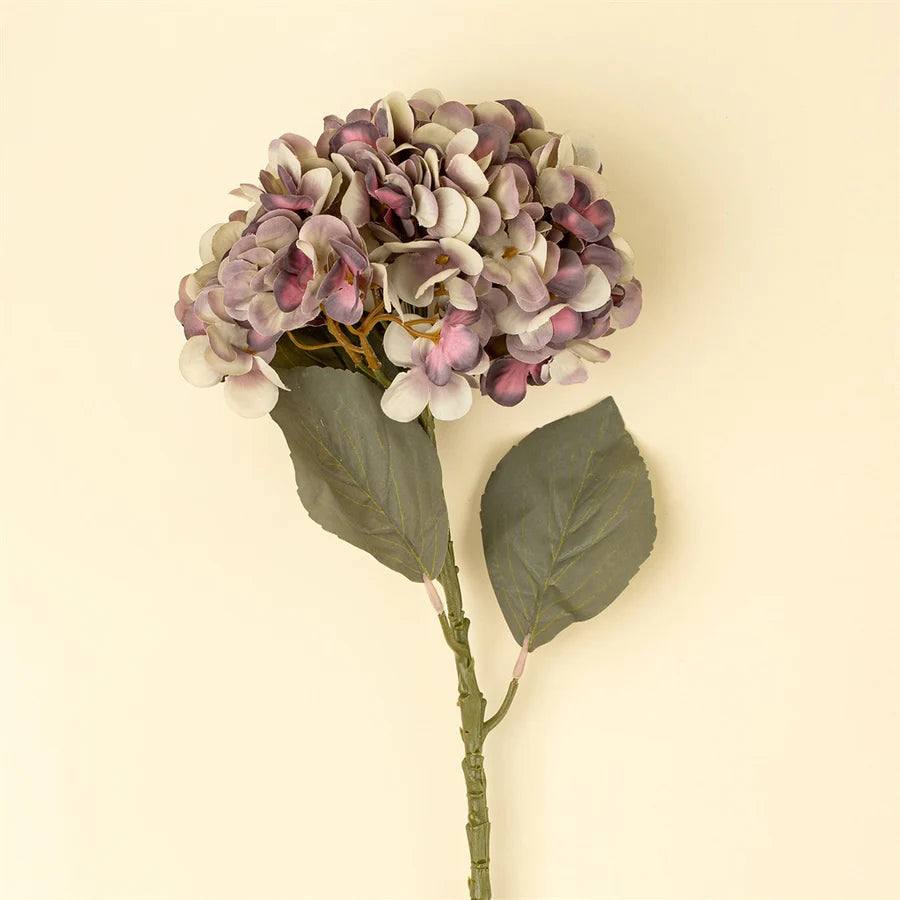 Faded hydrangea stem - purple
