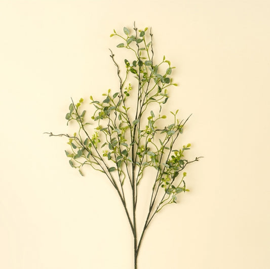 Branches Butterfly Eucalyptus