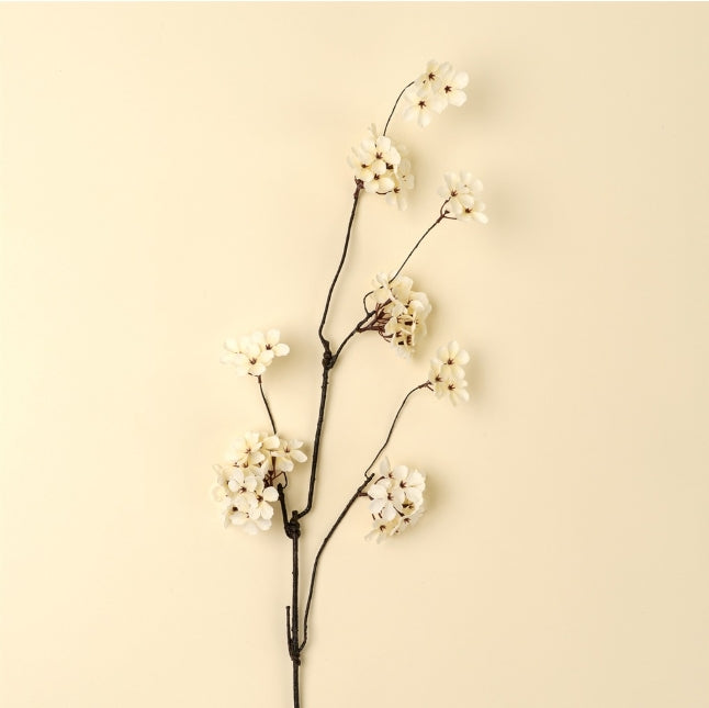 Pear Blossom Flower Branch