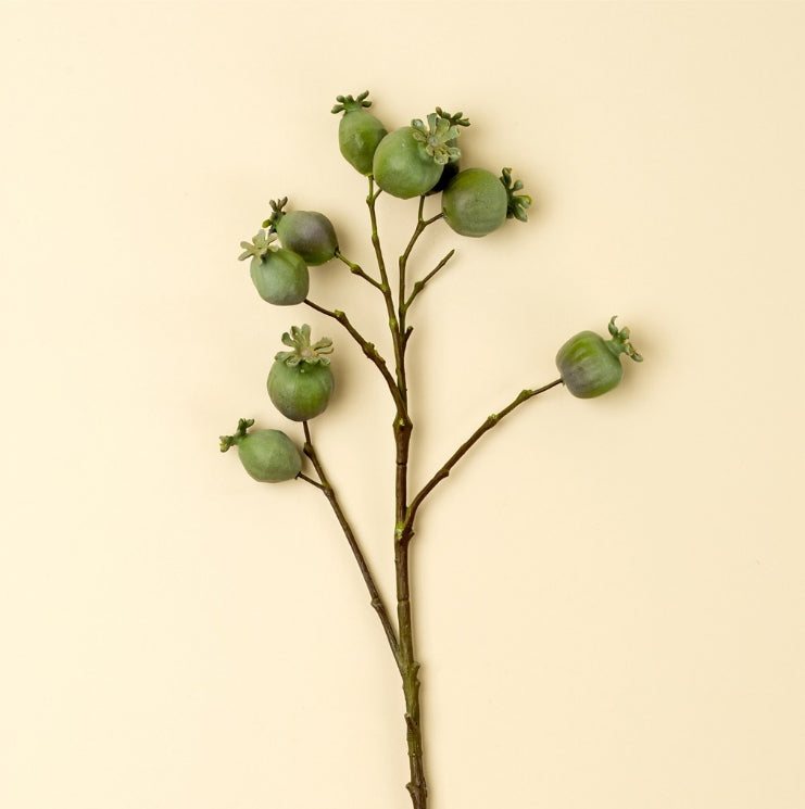 Poppy Pod Branches