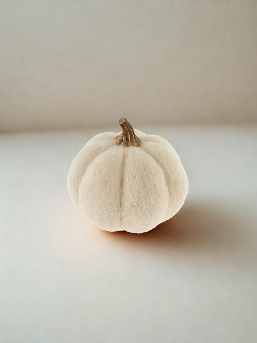 Felted wool pumpkin - White