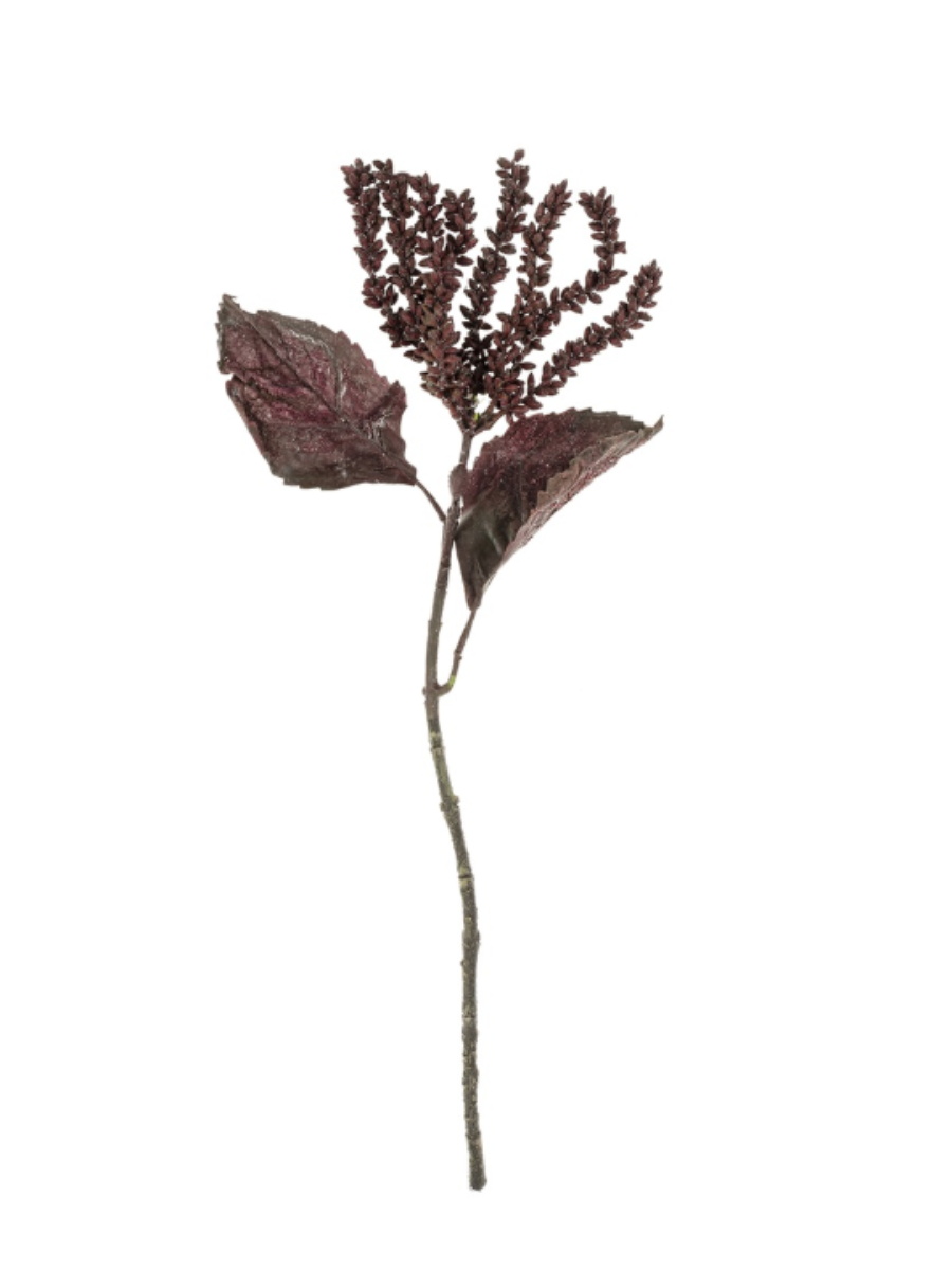 Plum grape stem