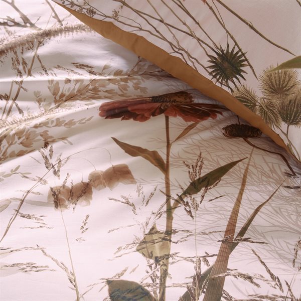 Echinacea - Duvet Cover