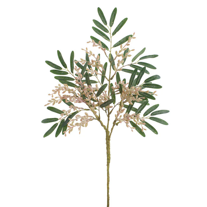 Feuillage Sedum - Rose gris