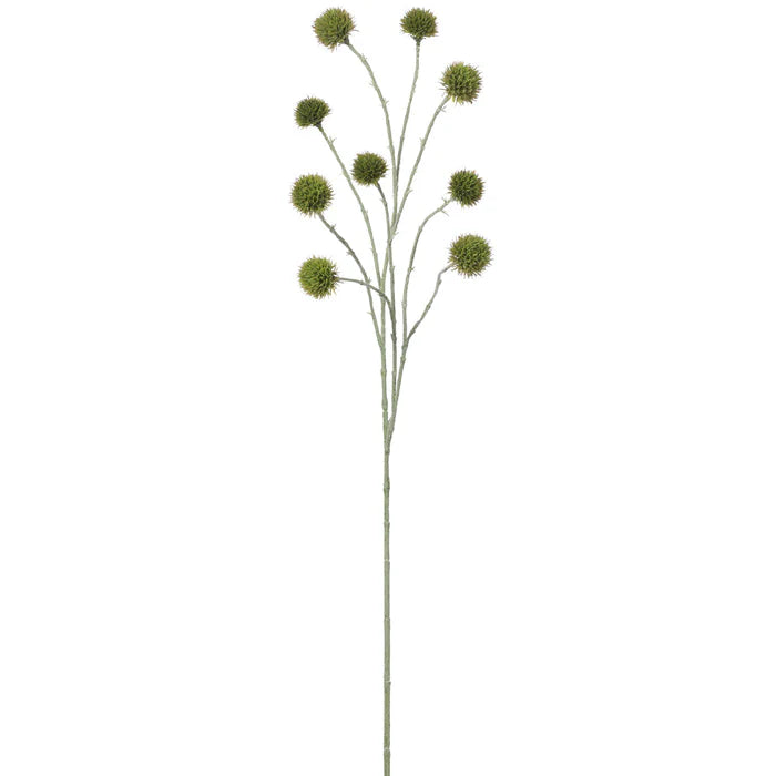 Feuillage pompon - Vert