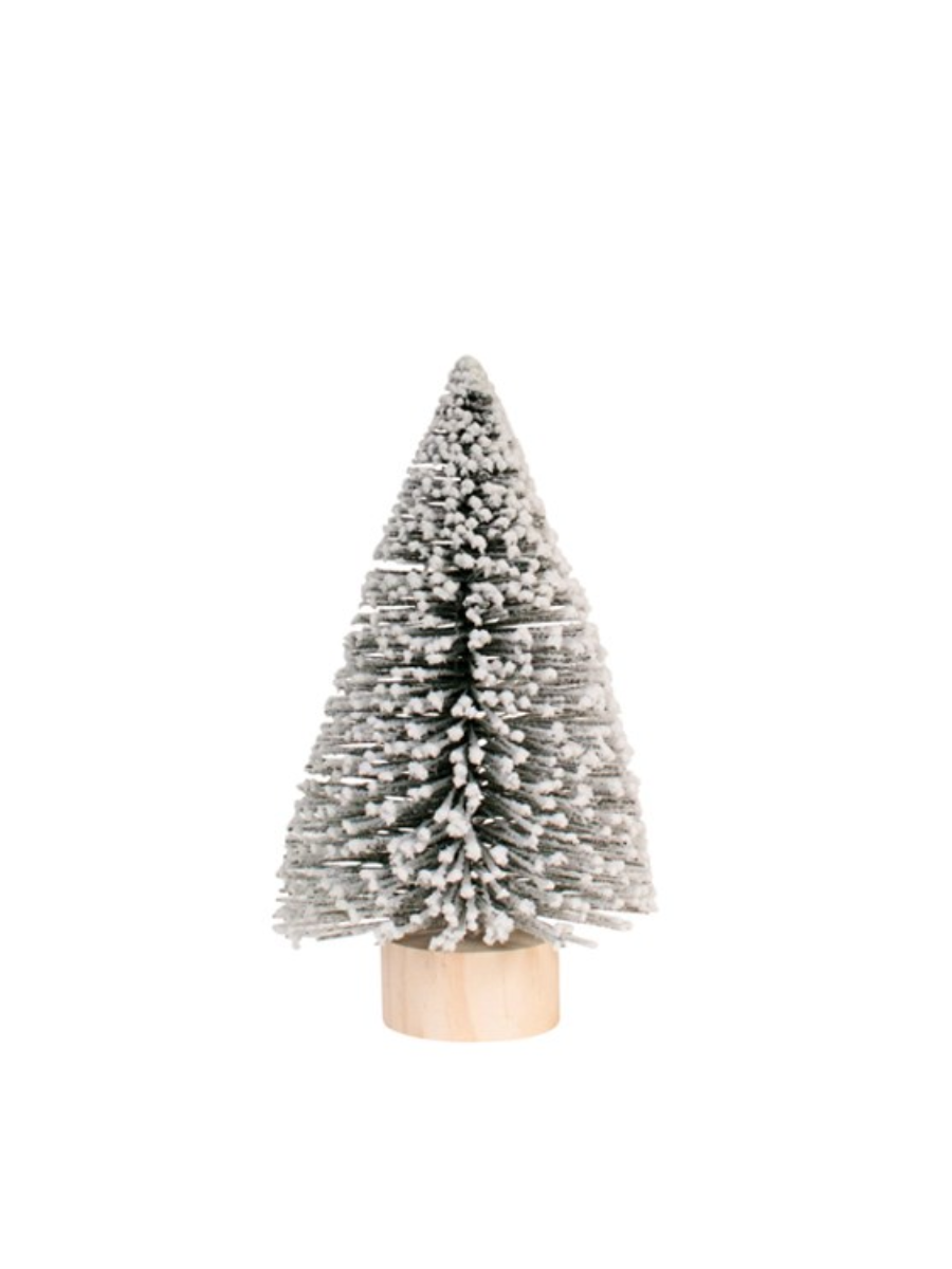 Sapin givré vert