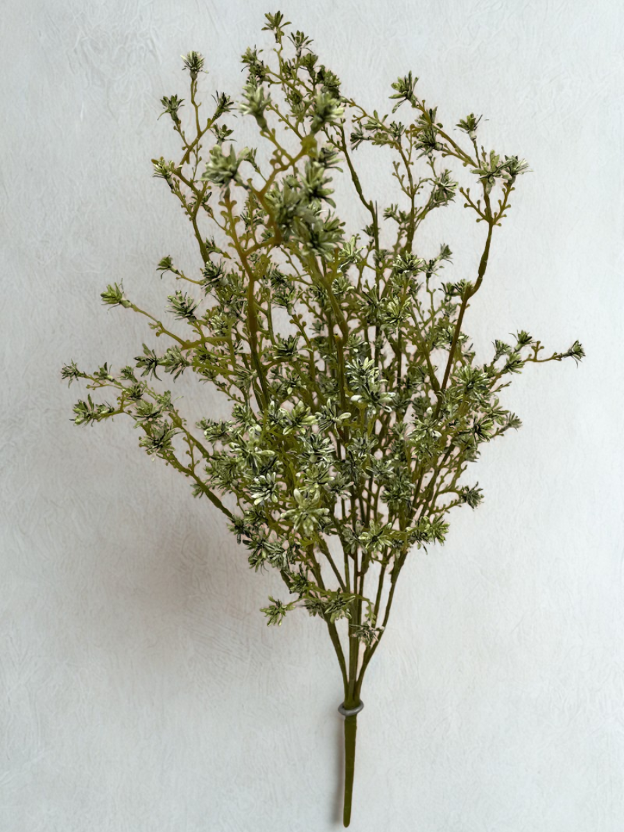 Green sedum stem