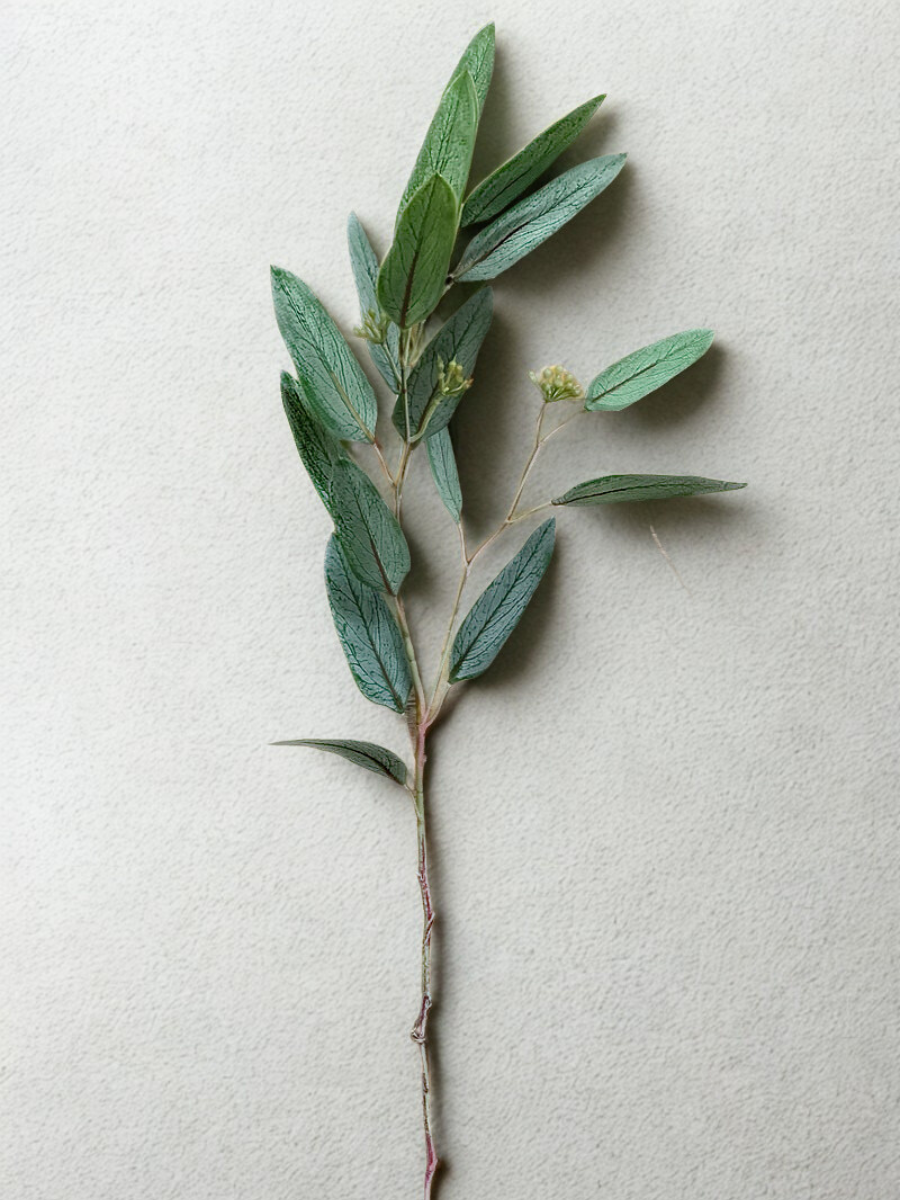 Willow and Eucalyptus Branch