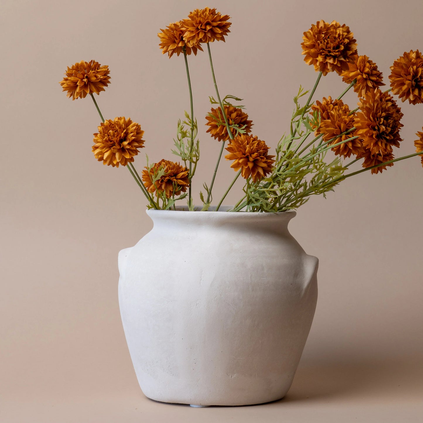 Mini Chrysanthemum - brown