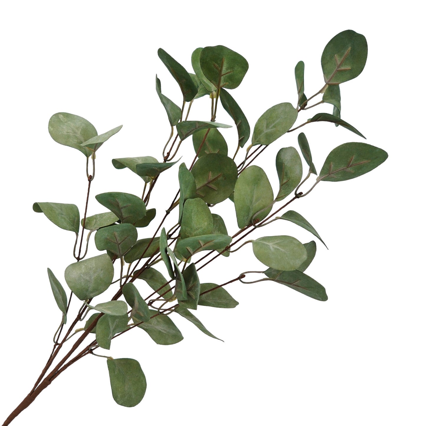 Green eucalyptus branch – 30"