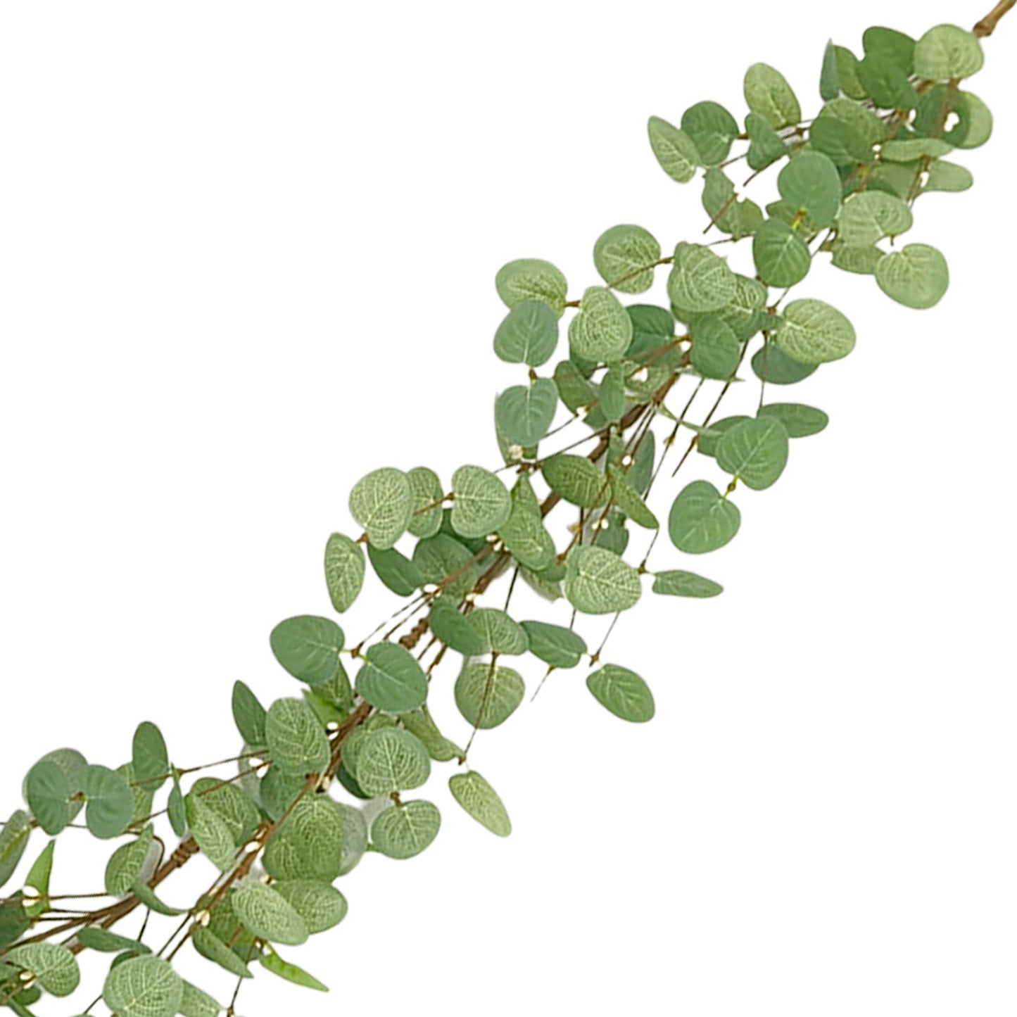Guirlande d’eucalyptus – 60’’