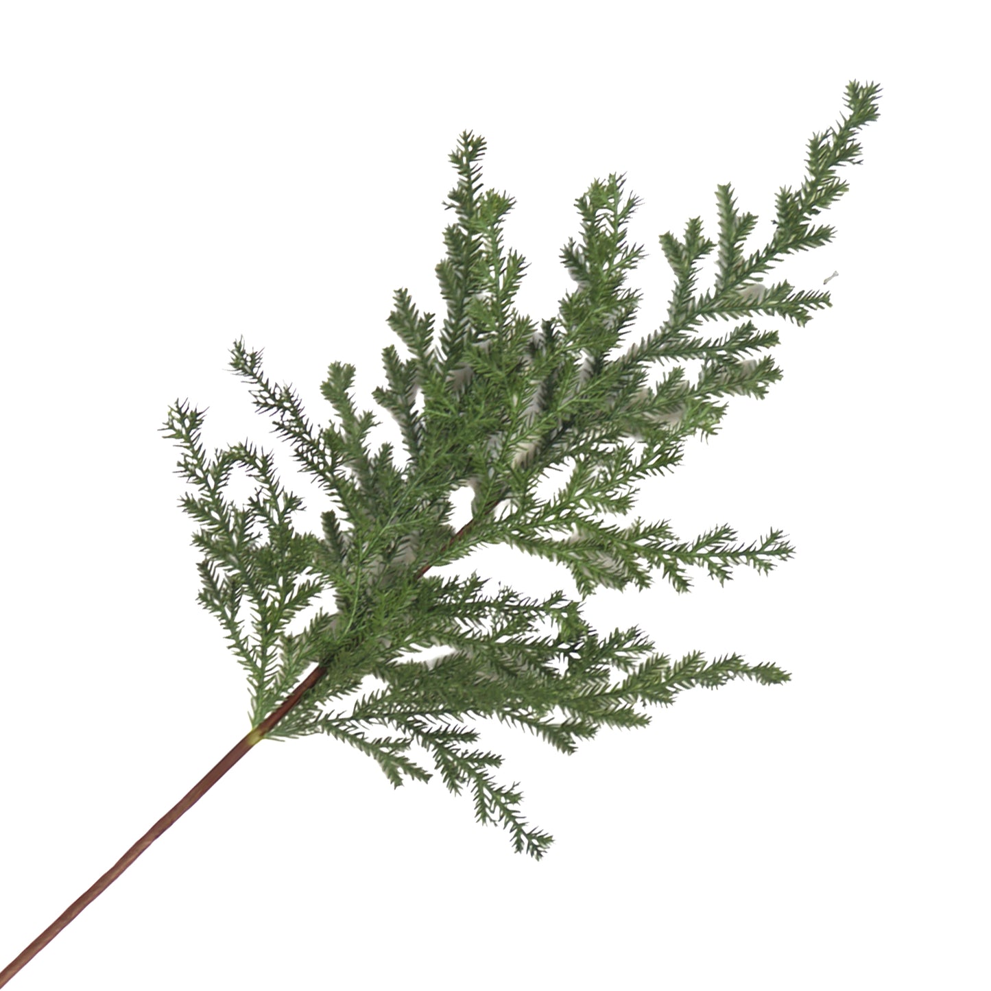 Branche de cèdre 41 po