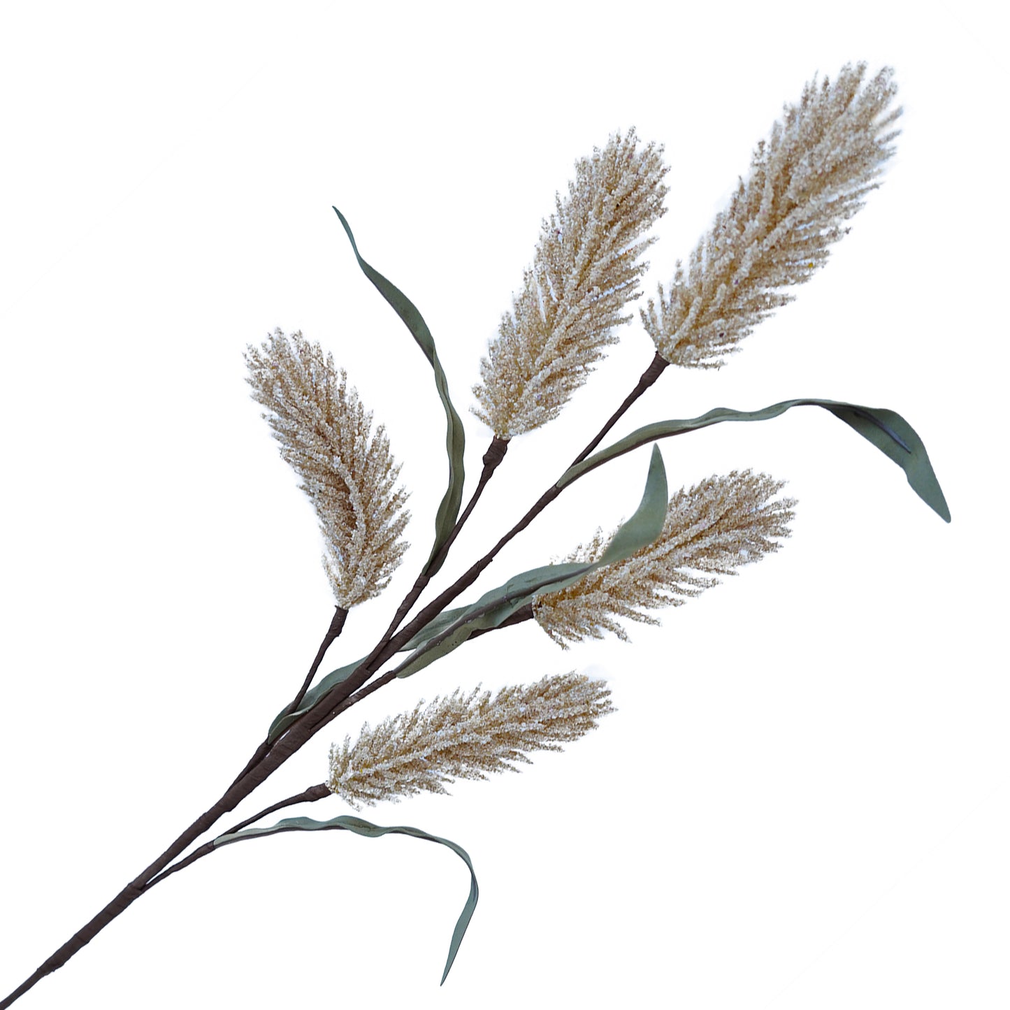 Branche de graminée sorgho beige