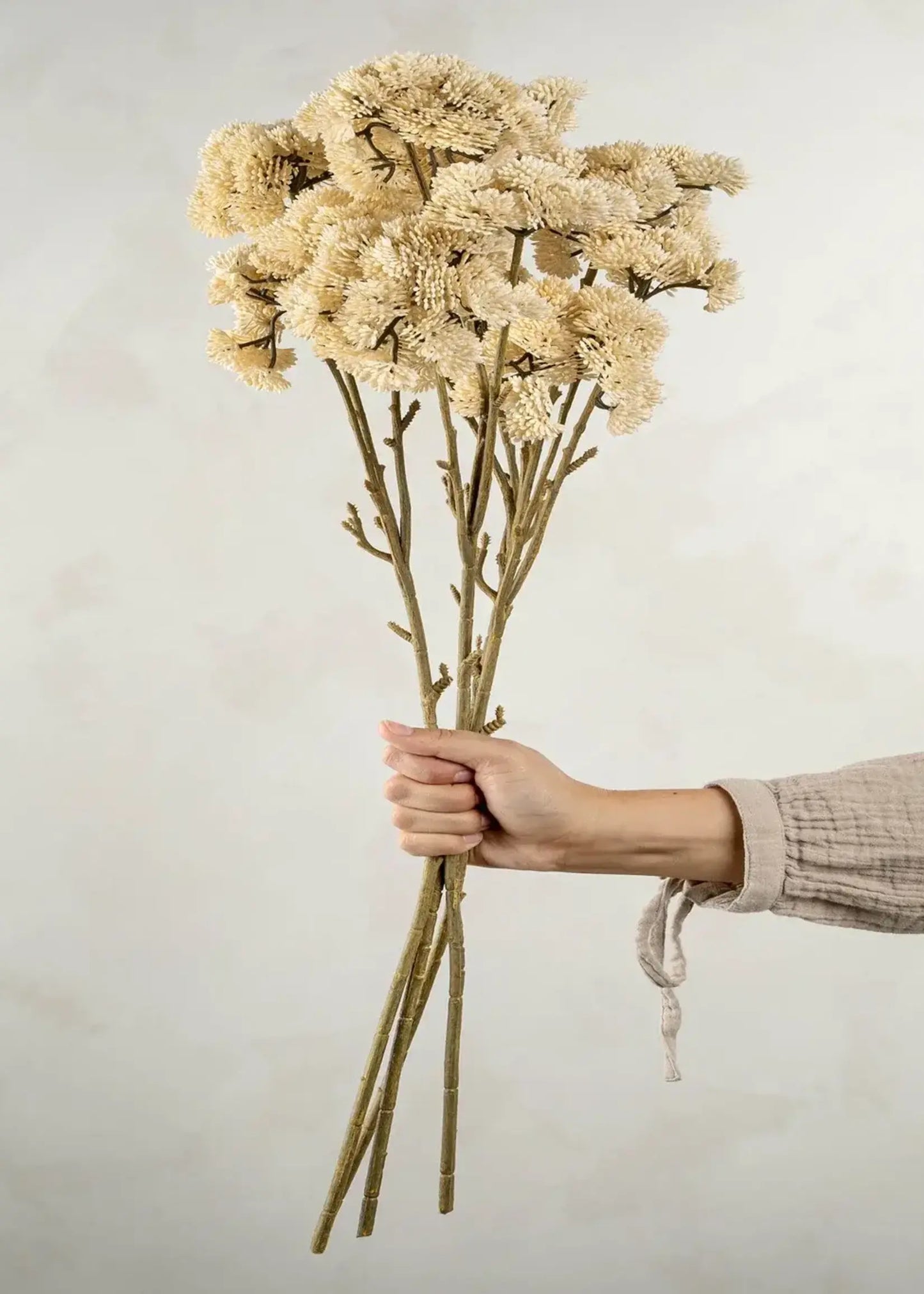 Bouquet de fleurs à pompons - crème