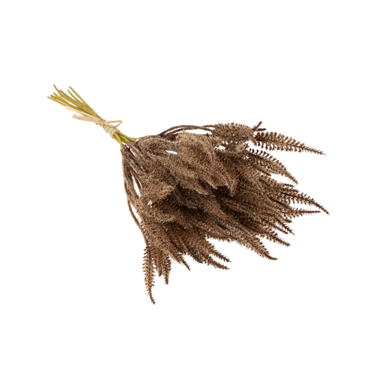 Mini Pampas grass bouquet - brown