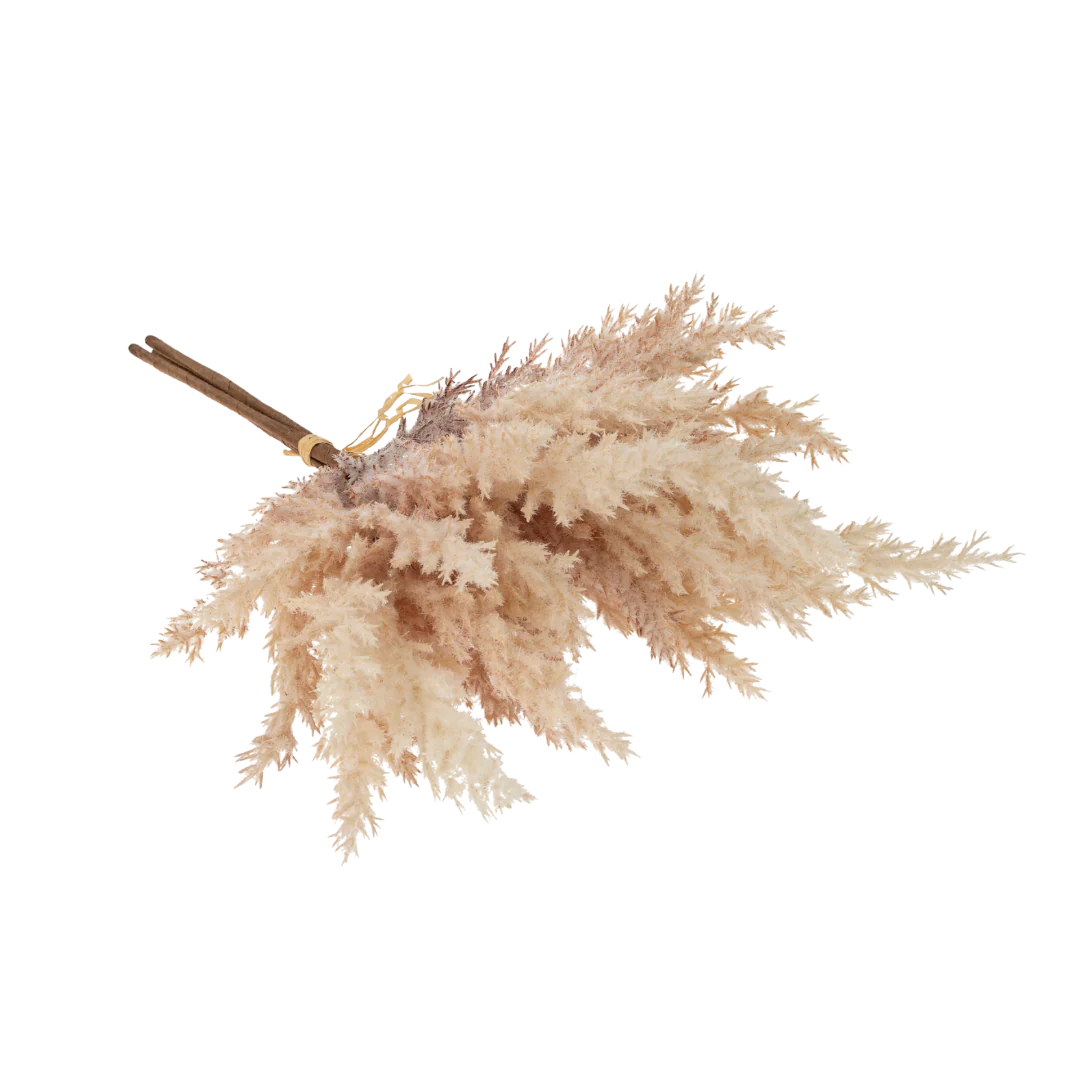 Mini bouquet d'herbe Pampas - blush