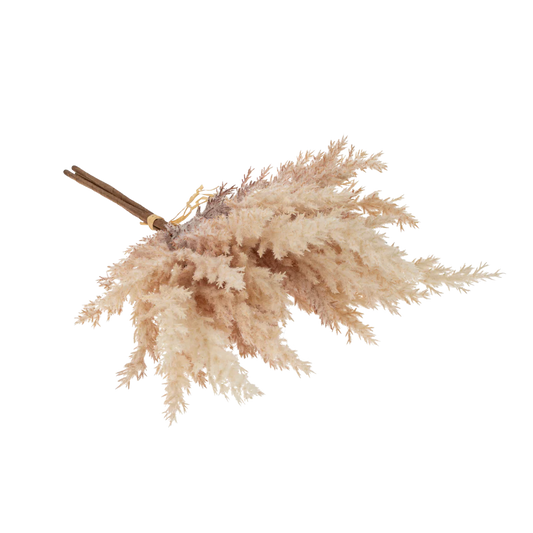 Mini Pampas grass bouquet - blush