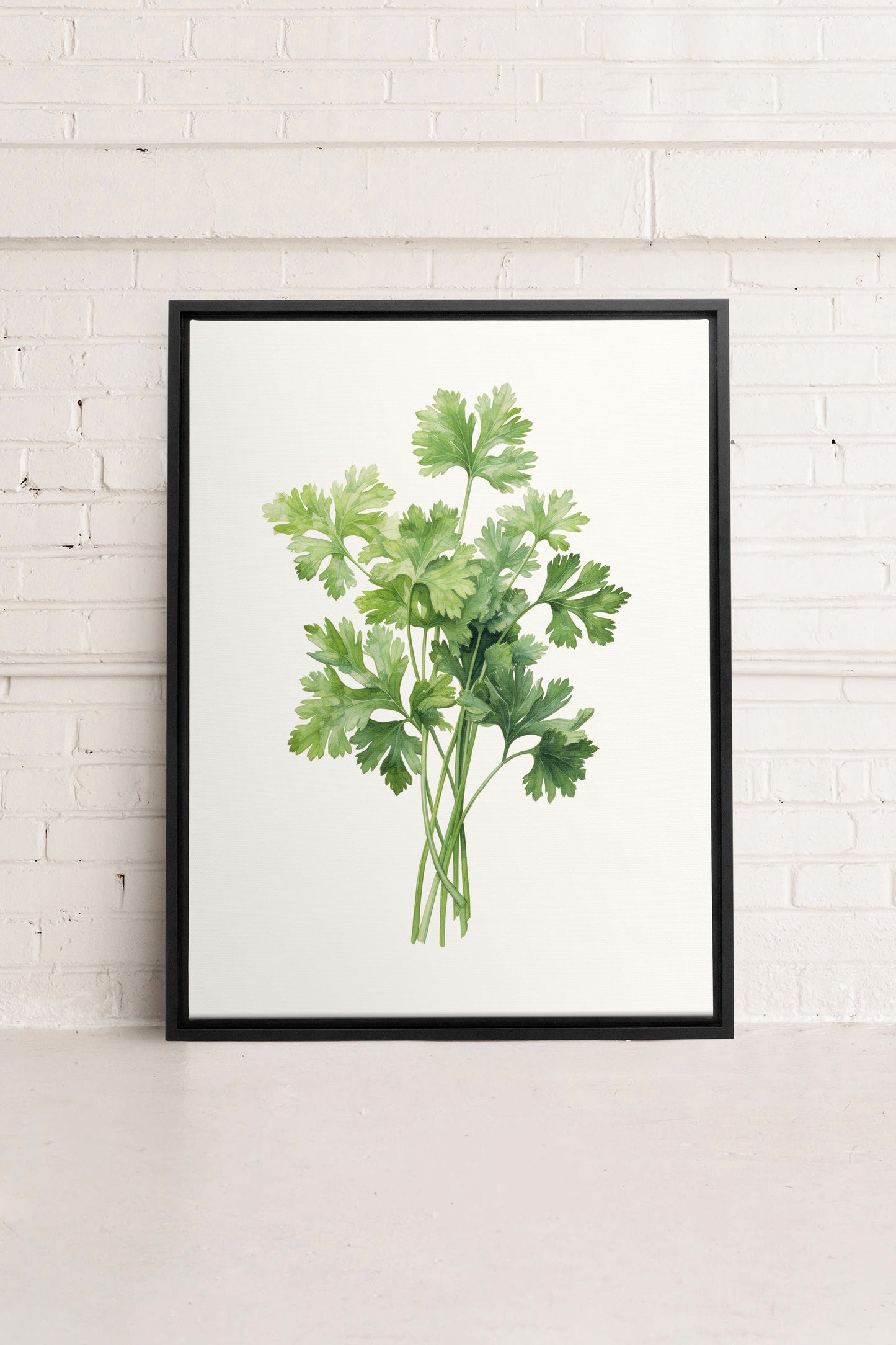 CILANTRO, Oeuvre sur toile étirée