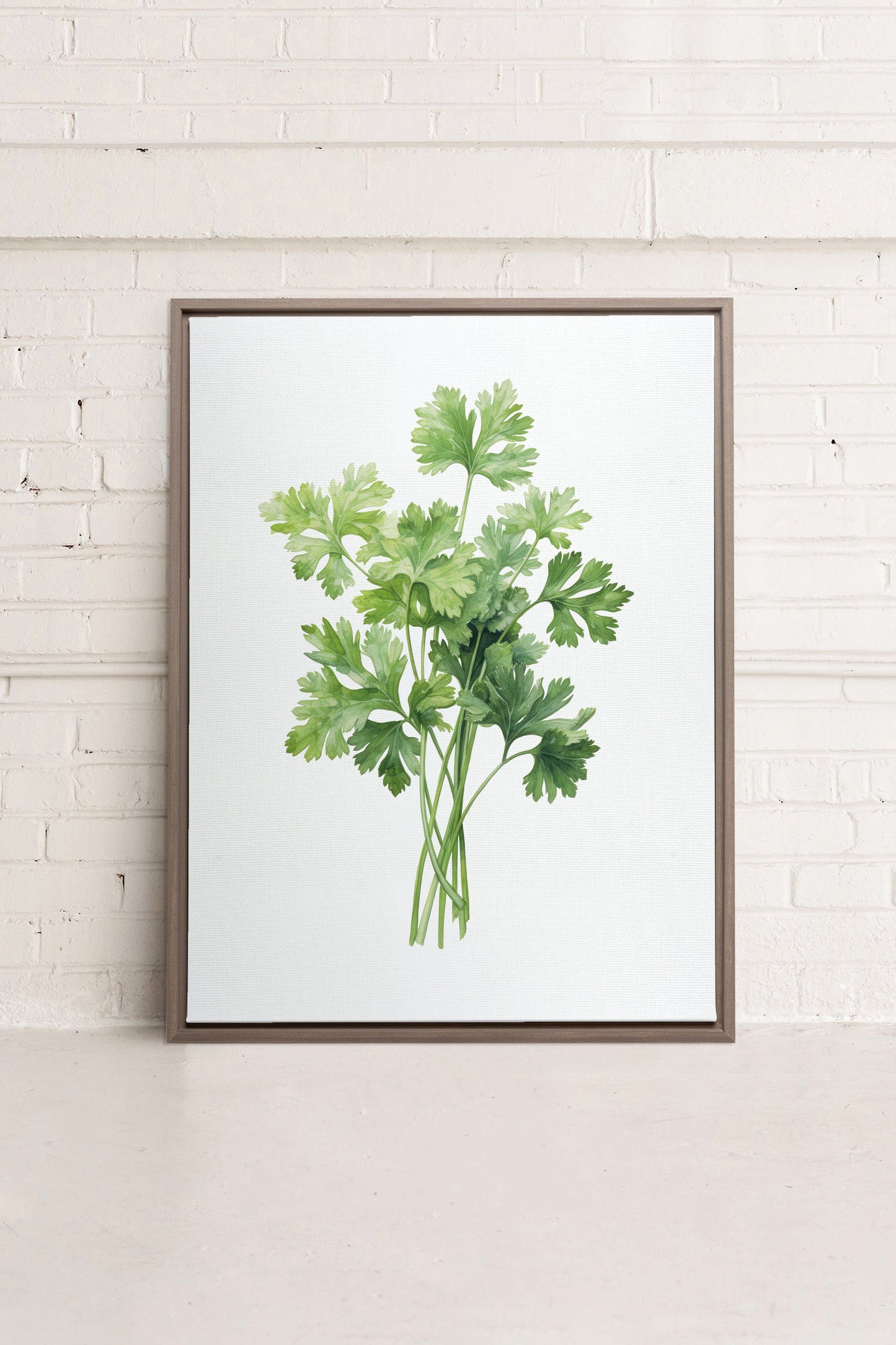 CILANTRO, Oeuvre sur toile étirée