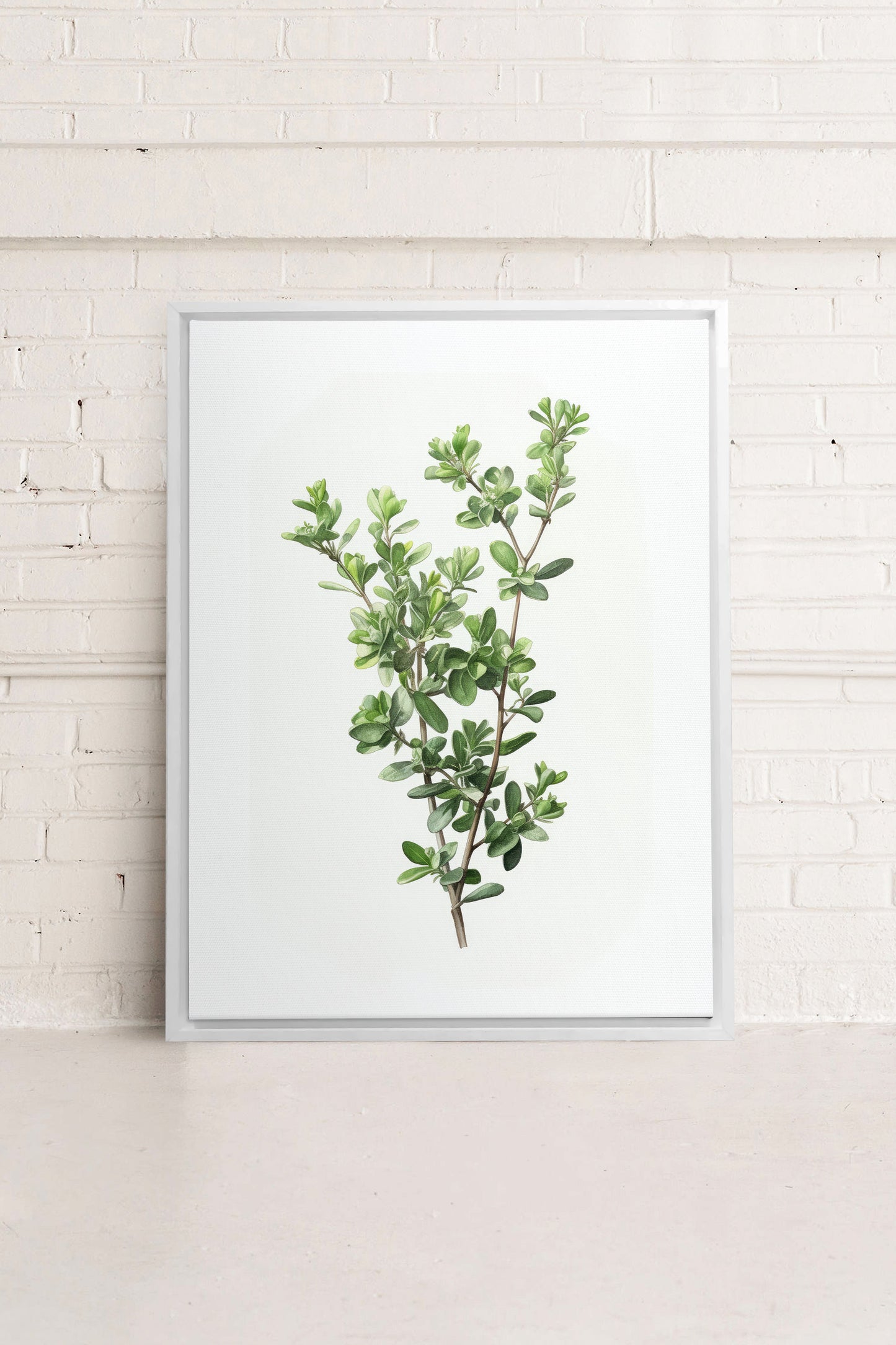 THYMARIS, Oeuvre sur toile étirée