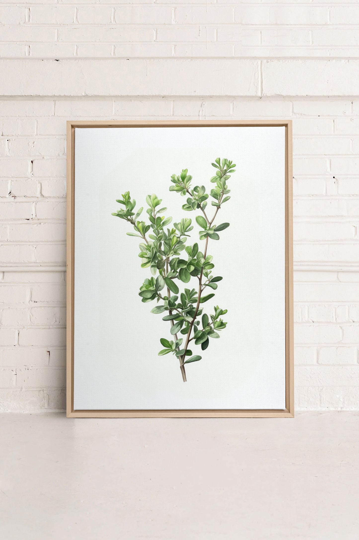 THYMARIS, Oeuvre sur toile étirée