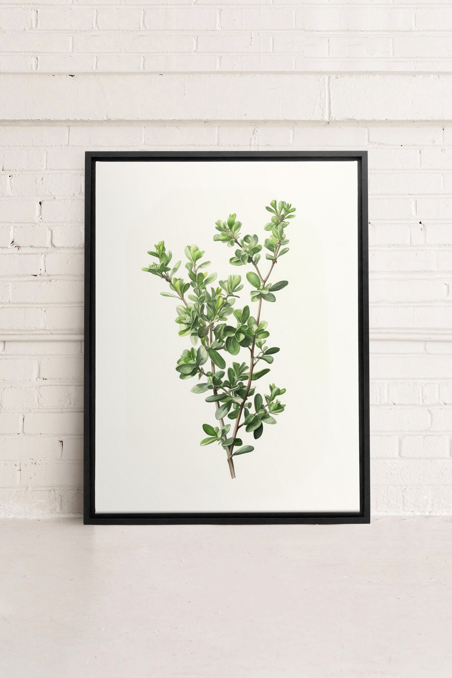 THYMARIS, Oeuvre sur toile étirée