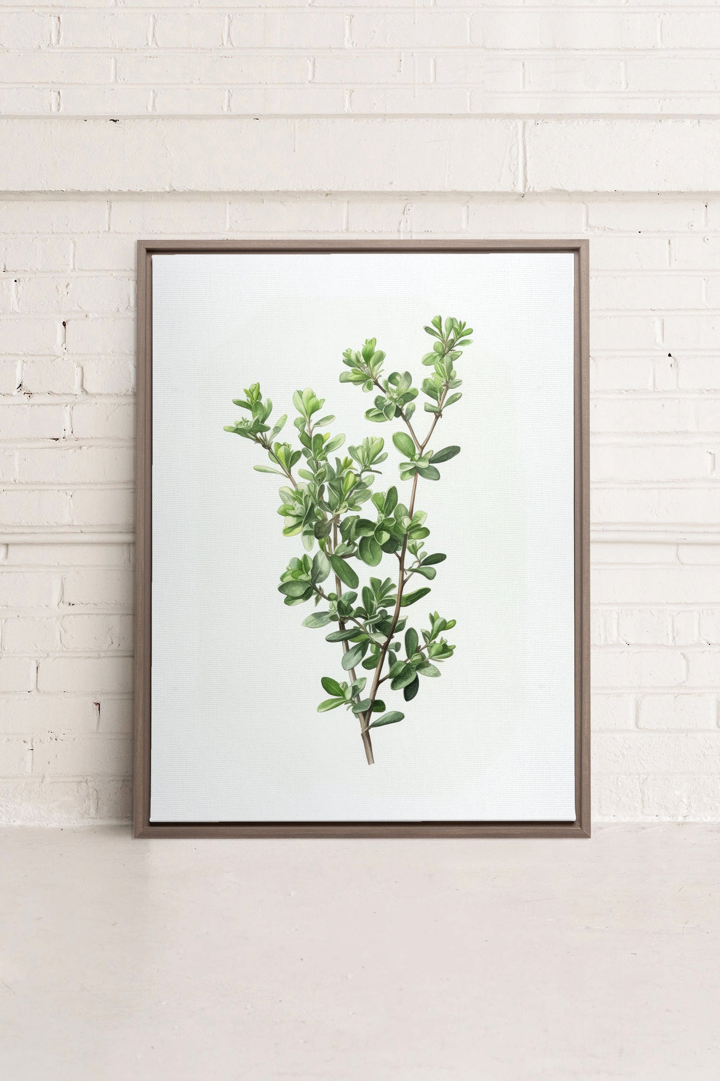 THYMARIS, Oeuvre sur toile étirée
