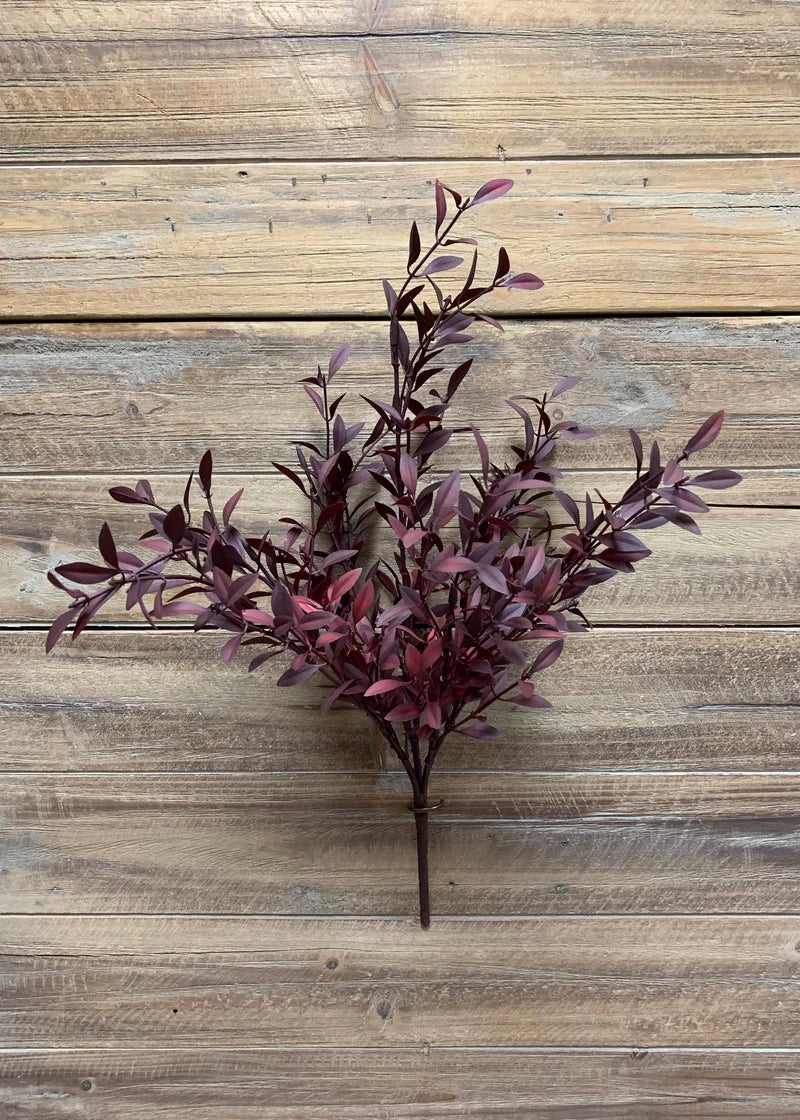 Tige de Feuilles de Saule – Bourgogne