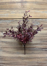 Tige de Feuilles de Saule – Bourgogne