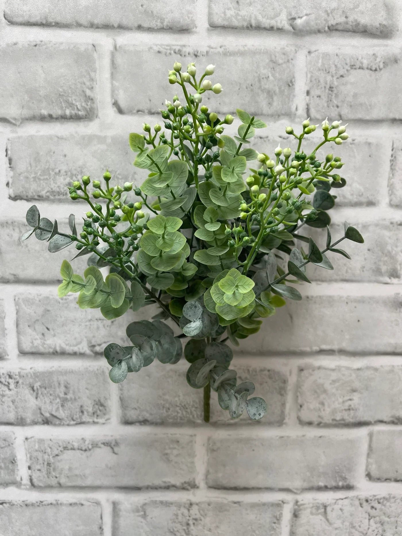 Bouquet d'eucalyptus