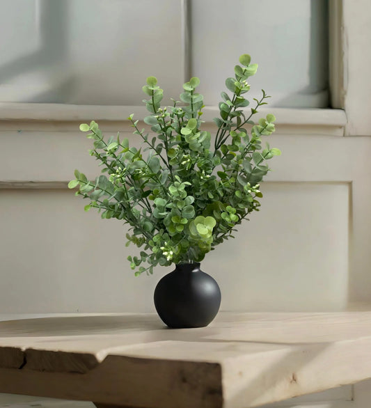 Bouquet d'eucalyptus avec bourgeons