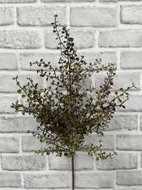 Bouquet de soupirs de bébé - bourgogne