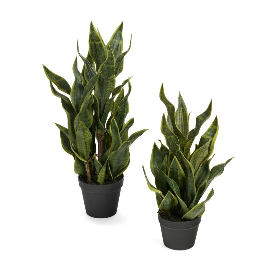 Sanseveria plant with pot - Artificial