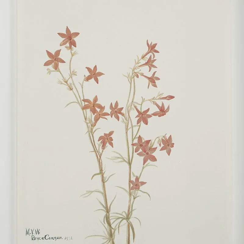 Tableau Crema