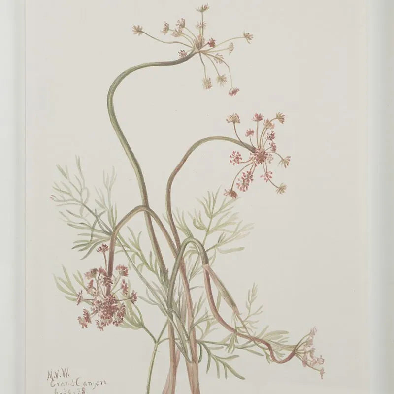 Tableau Crema