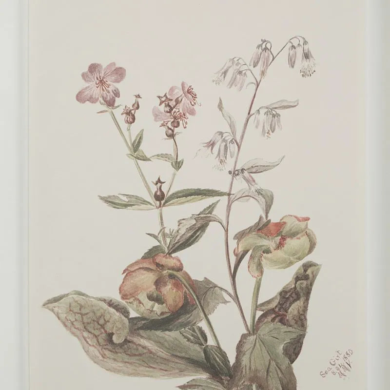 Tableau Crema