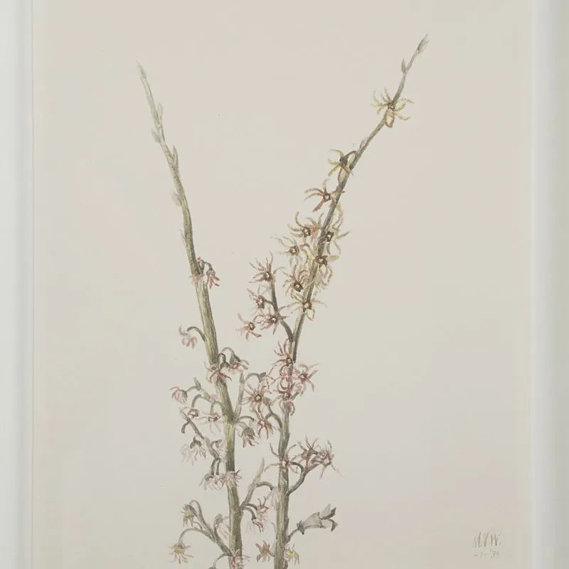 Tableau Crema