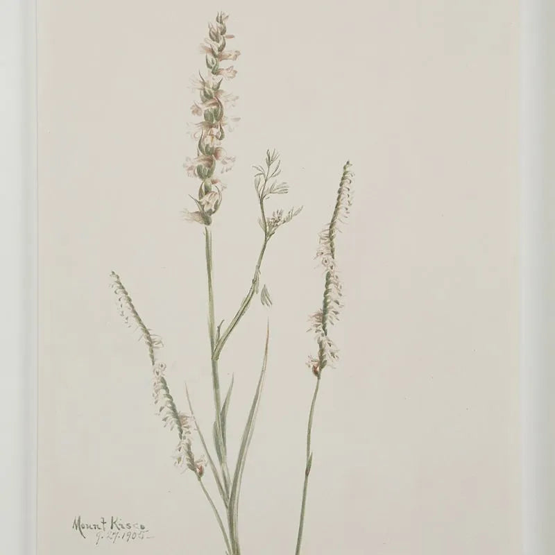 Tableau Crema