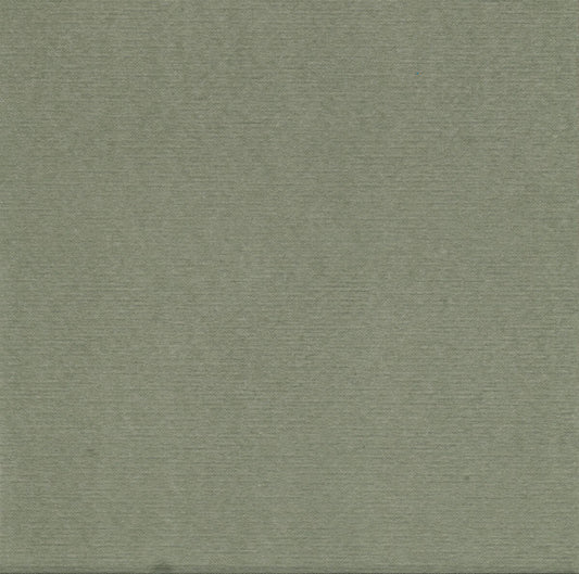 Paviot Napkin - Green Tea