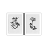 Cadre Fleurs des champs