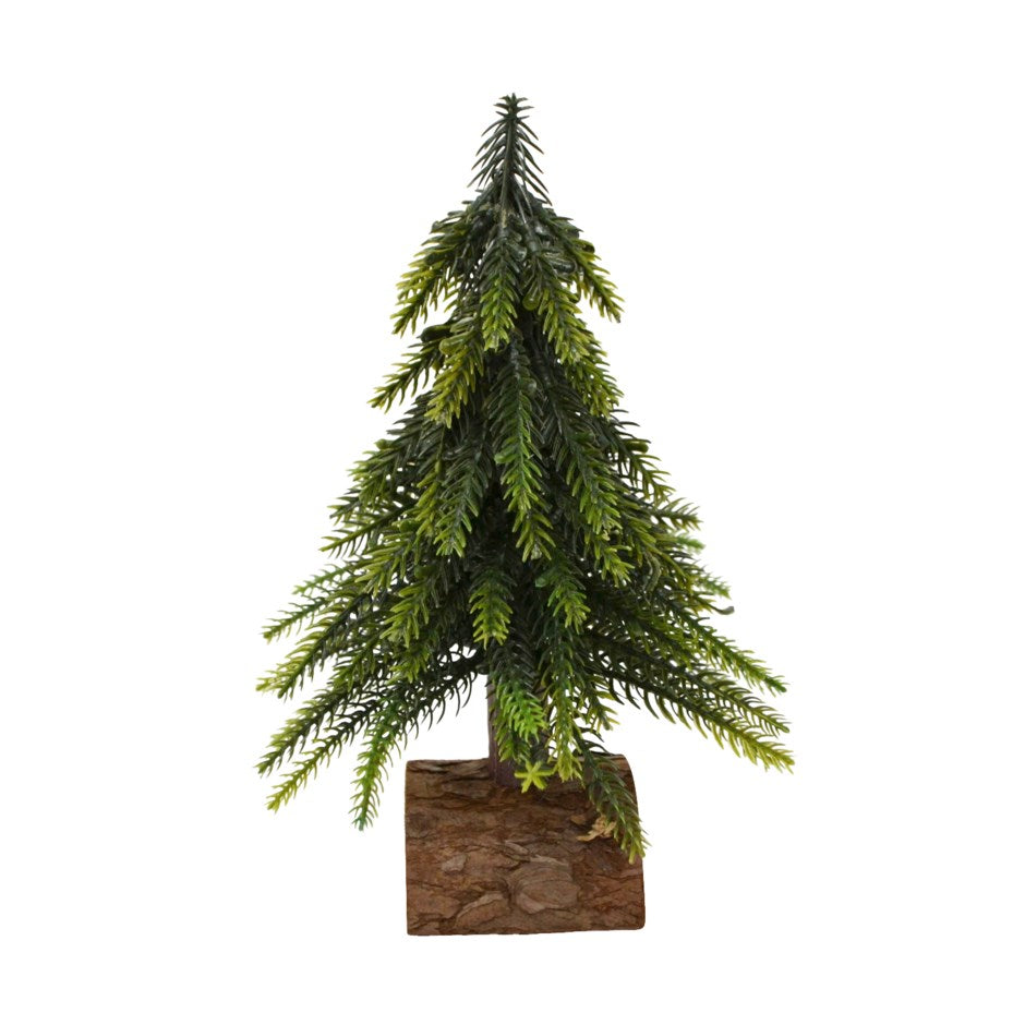 Sapin Vert sur Buche - Moyen