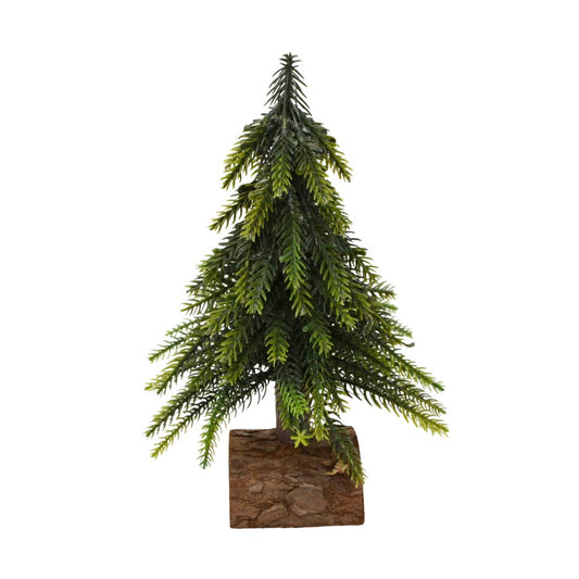 Sapin Vert sur Buche - Moyen