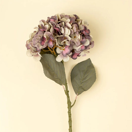 Faded hydrangea stem - purple