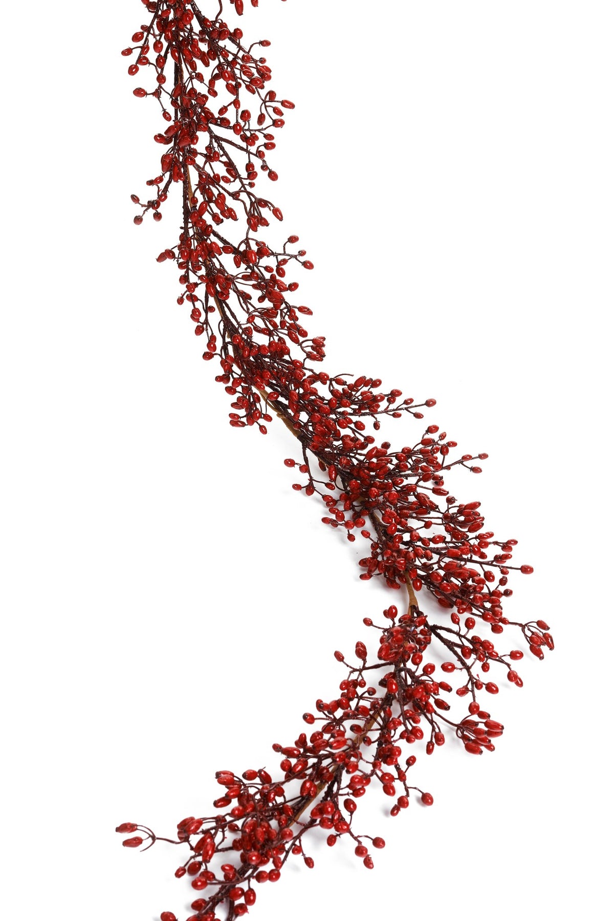 Guirlande d'églantier