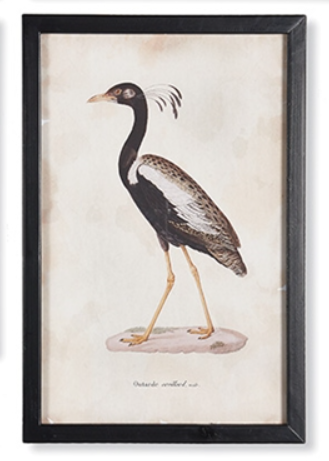 Tableau Imprimé - Galerie d'oiseaux