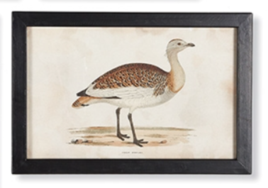 Tableau Imprimé - Galerie d'oiseaux